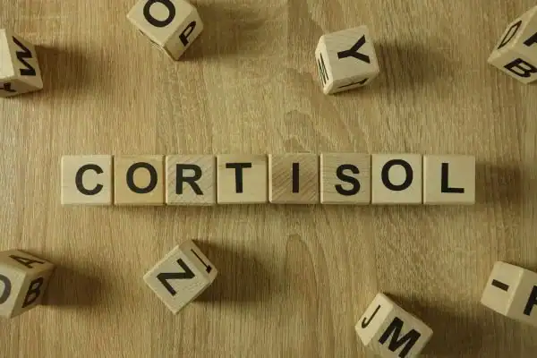 The Hidden Connection: How Stress Shapes Your Fitness and Body Composition 2 Image saying "Cortisol" and how stress Bakewell impacts your wellbeing and bodies shape